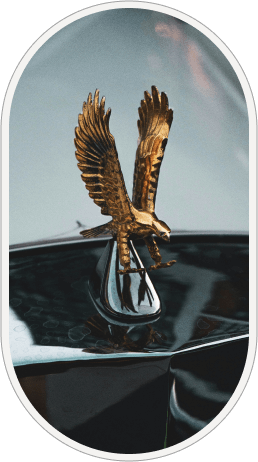 Luxury car ornament